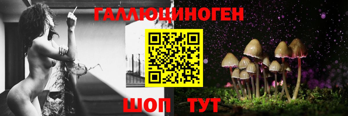 Галлюциногенные грибы GOLDEN TEACHER Протвино